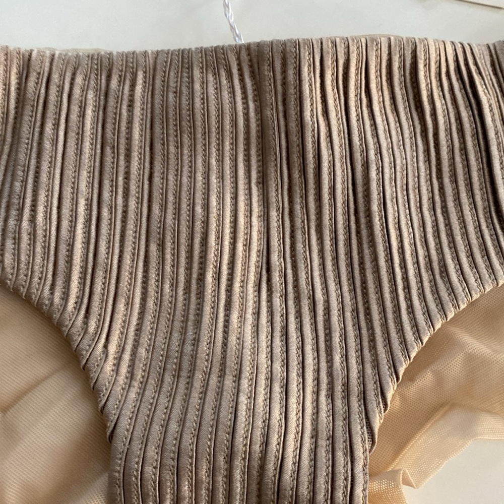 BEAUTIFUL LA PERLA MADE IN ITALY BEIGE PANTY W/MESH- SMALL! - Picture 2 of 6